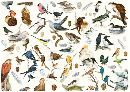 The Book of Birds 1000 Piece Jigsaw Puzzle