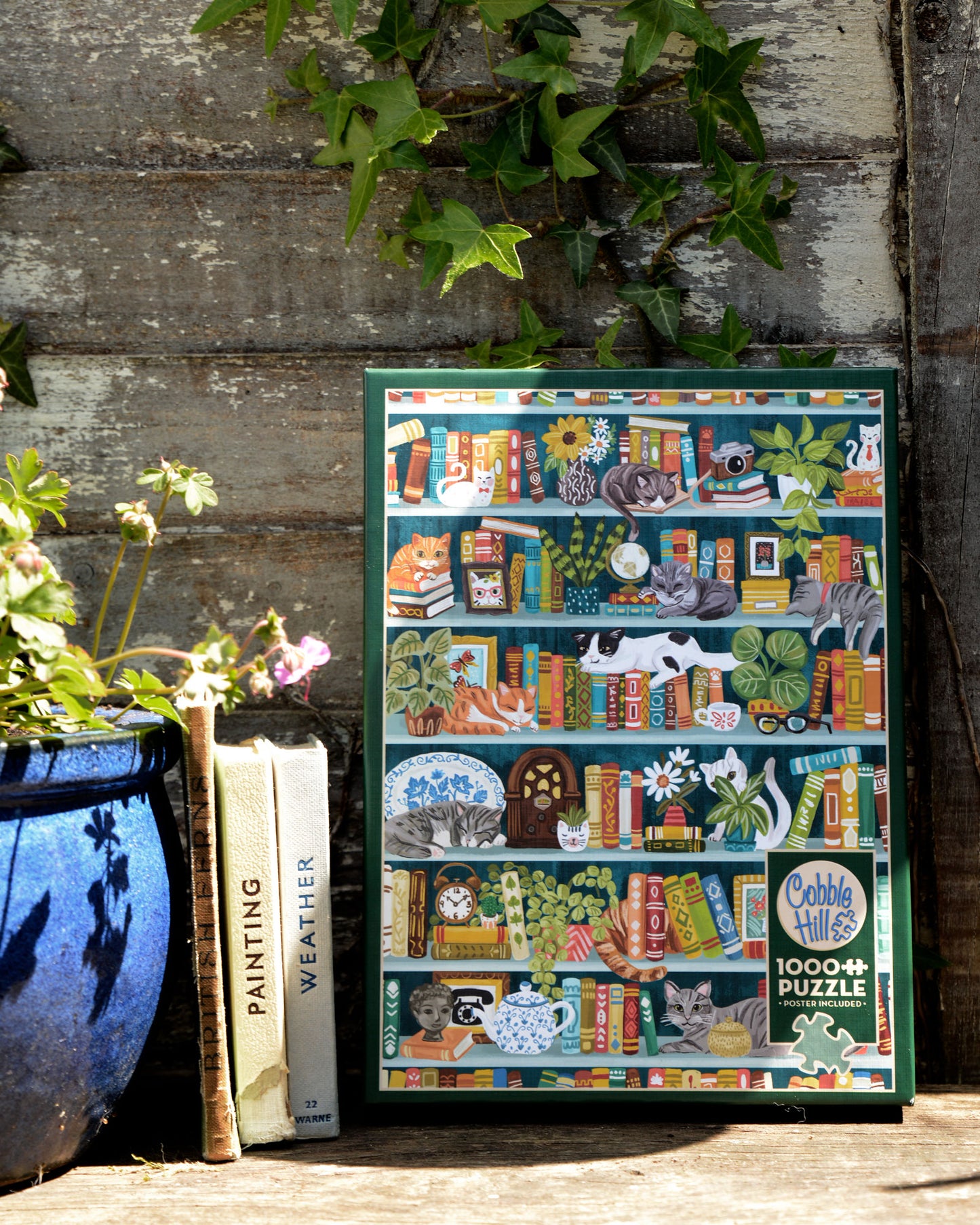 Purrfect Bookshelf 1000 Piece Jigsaw Puzzle