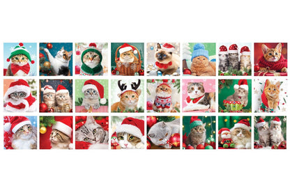 Christmas Whiskers - Advent Calendar