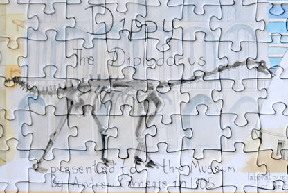 Tim Bulmer - Natural History Museum 1000 Piece Jigsaw