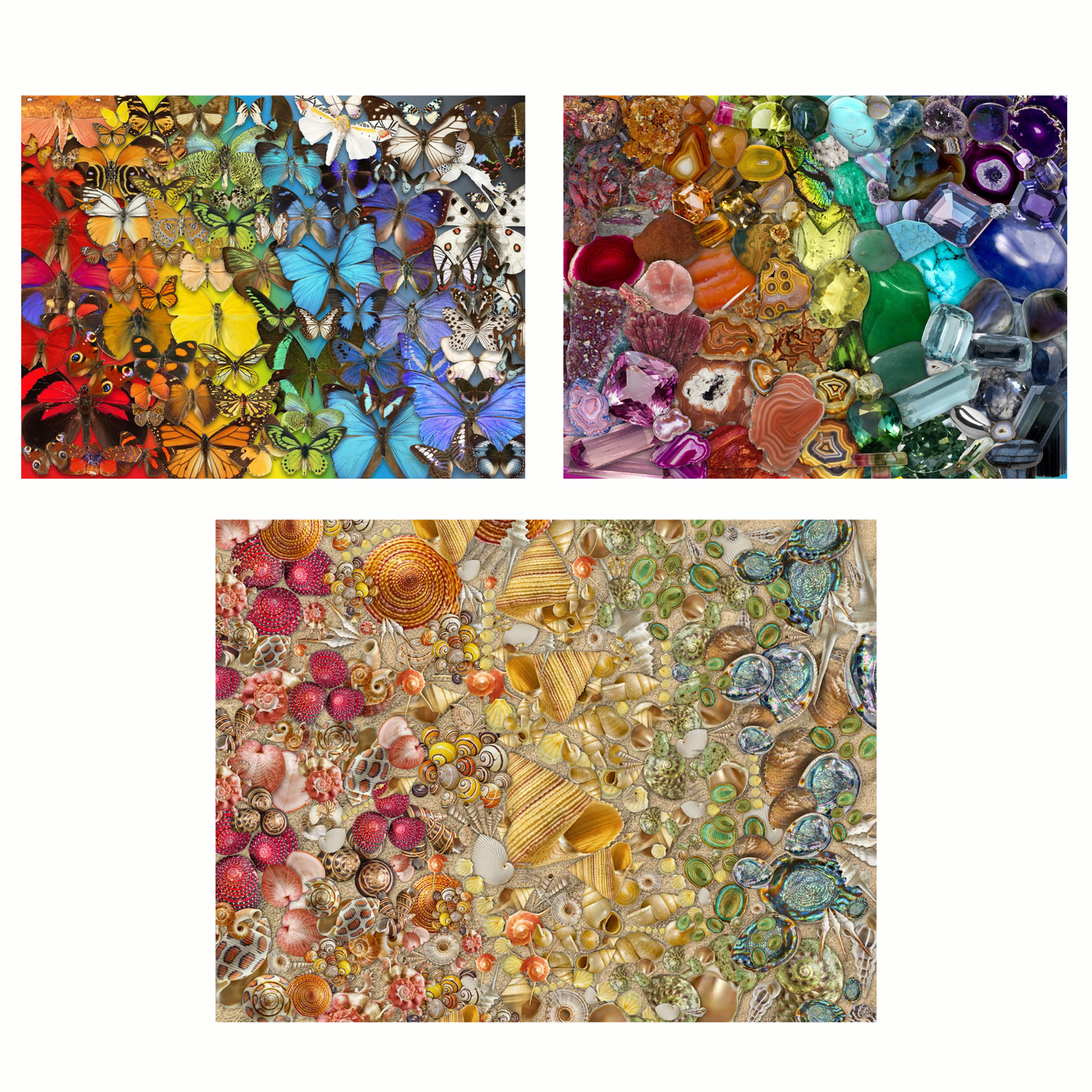 Natural Wonders - Natural History Museum Jigsaw Puzzle Bundle