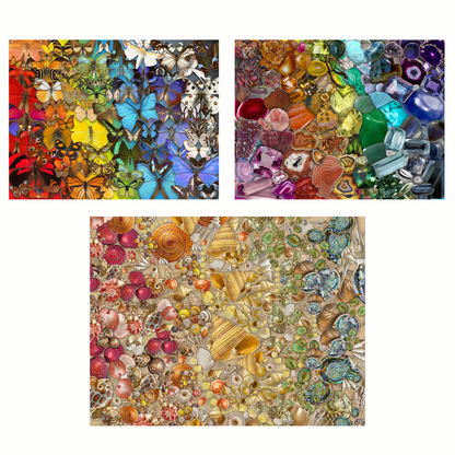 Natural Wonders - Natural History Museum Jigsaw Puzzle Bundle